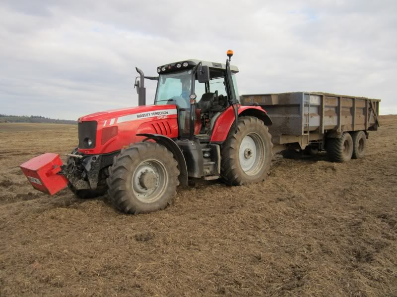 Massey6480andStewartRootCropTrailer8411.jpg