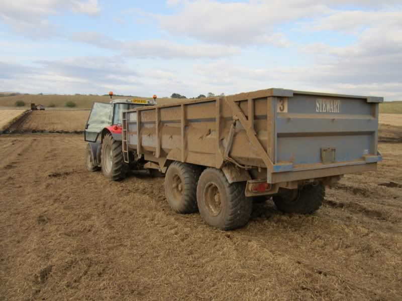 Massey6480andStewartRootTrailer8411.jpg