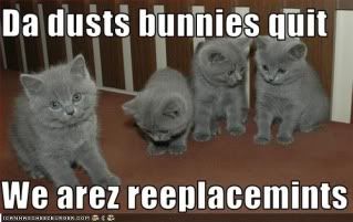 dustbunnies.jpg Dusts bunnies image by reebeep