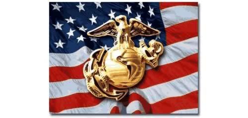 marine corp Pictures, Images and Photos