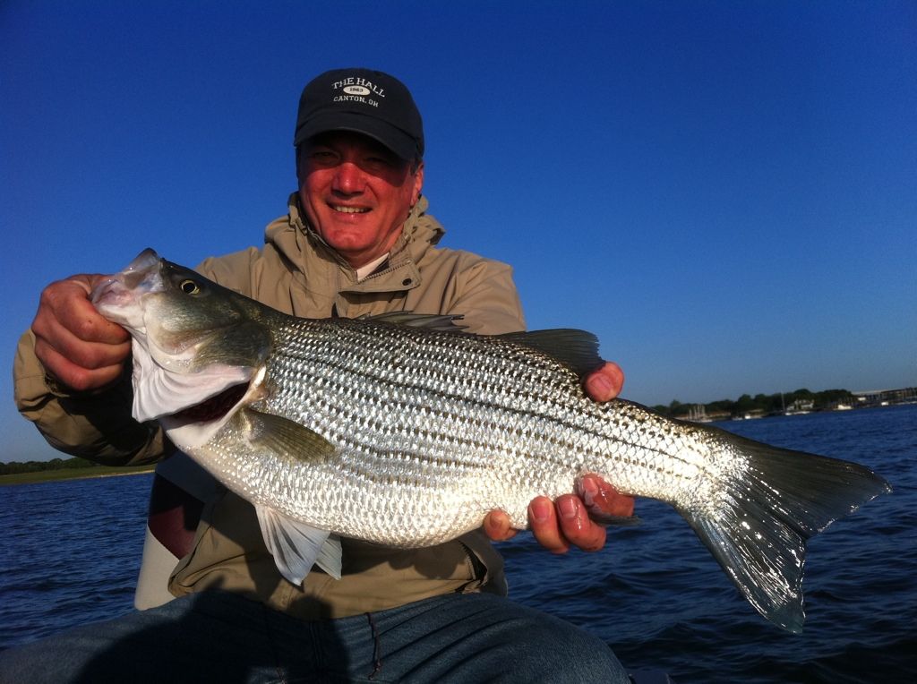 Lake Ray Hubbard Fishing Guide Report 4 17 2012 Texas Fishing Forum