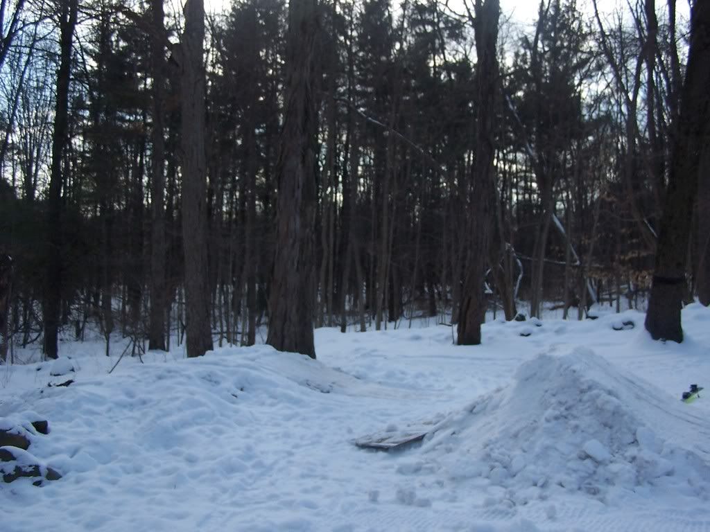 100_3873.jpg