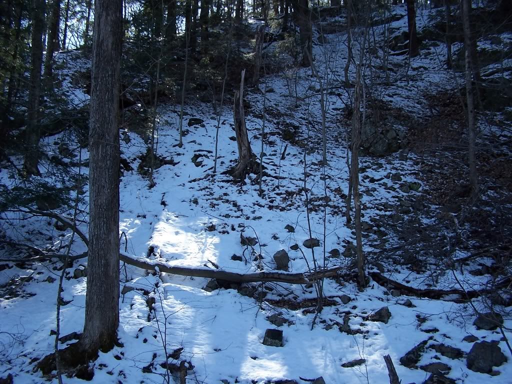 100_4235.jpg
