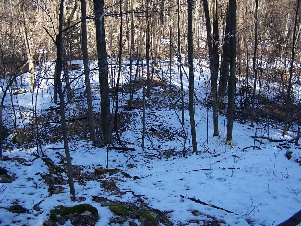 100_4239.jpg