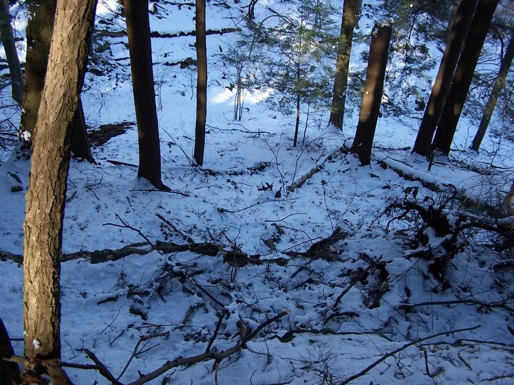 100_4252.jpg