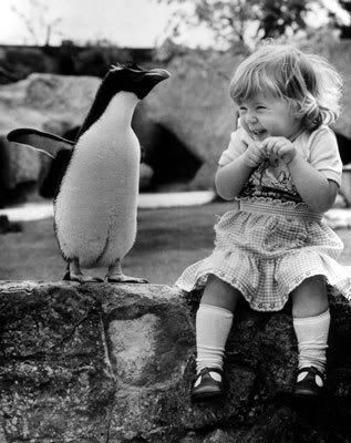 cute.jpg cute image by robinwwheeler_2007