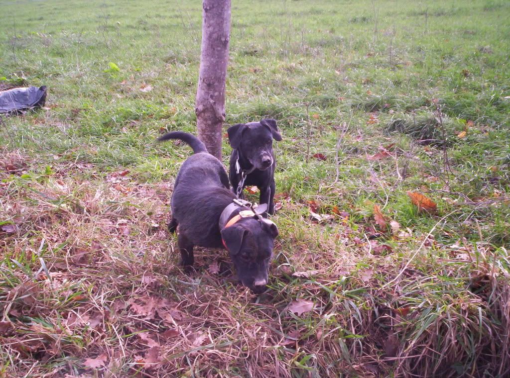 29-dec088.jpg