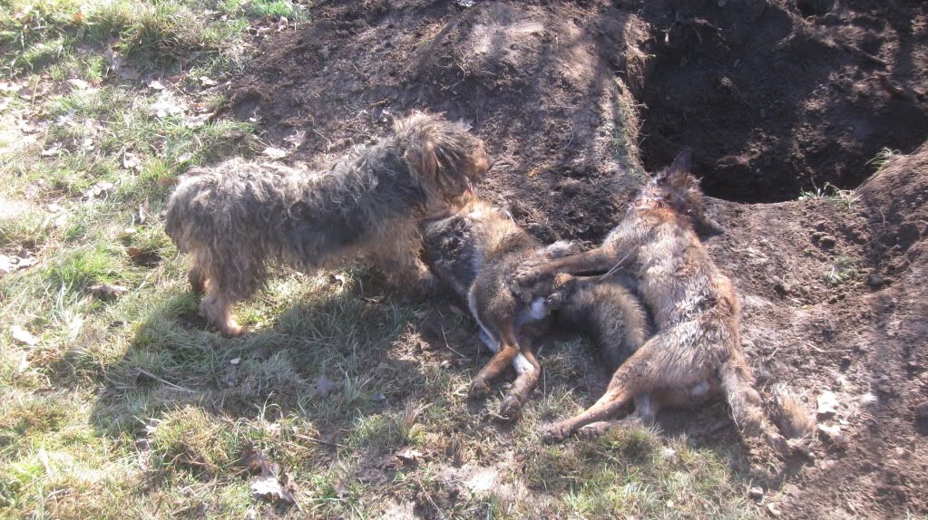 hunting479.jpg