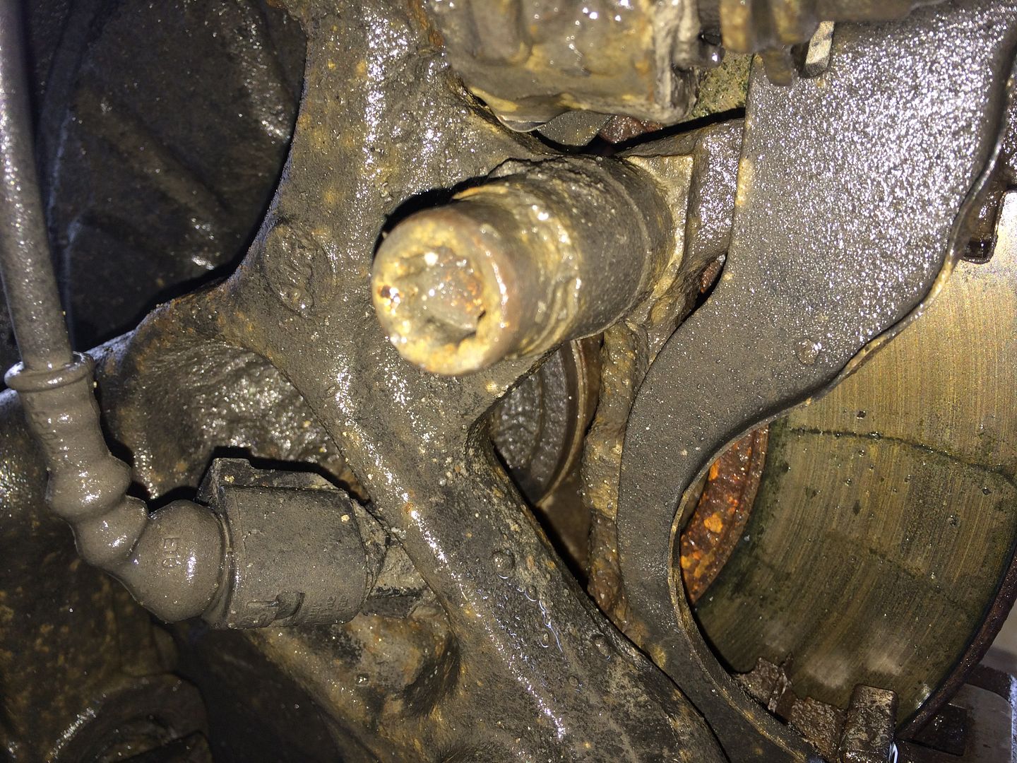 9745F1F7-57EE-4B88-861B-0EEE225F8451_zps