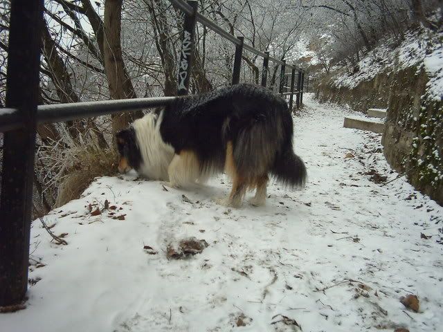 dec31063.jpg