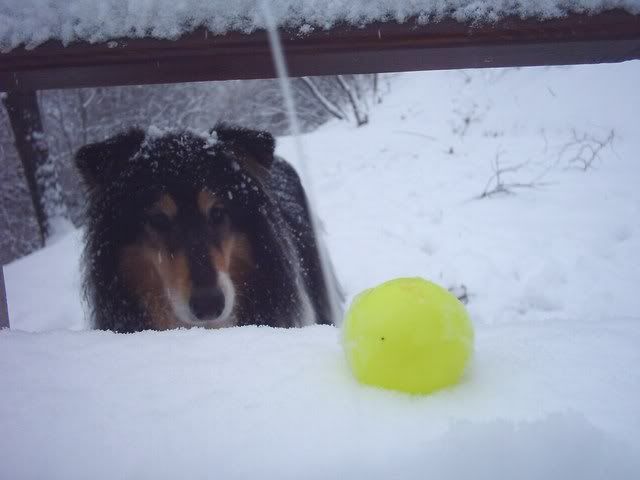 jan1044.jpg