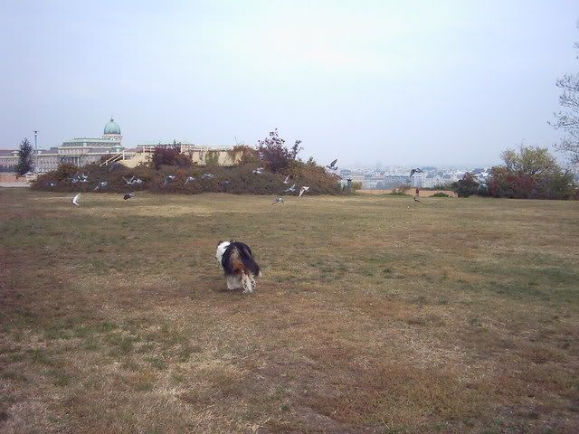 okt18009.jpg