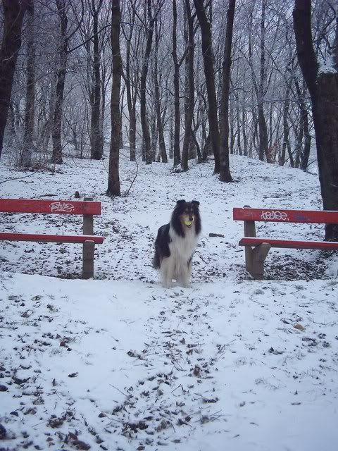 dec31078.jpg
