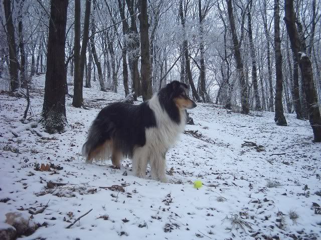 dec31087.jpg