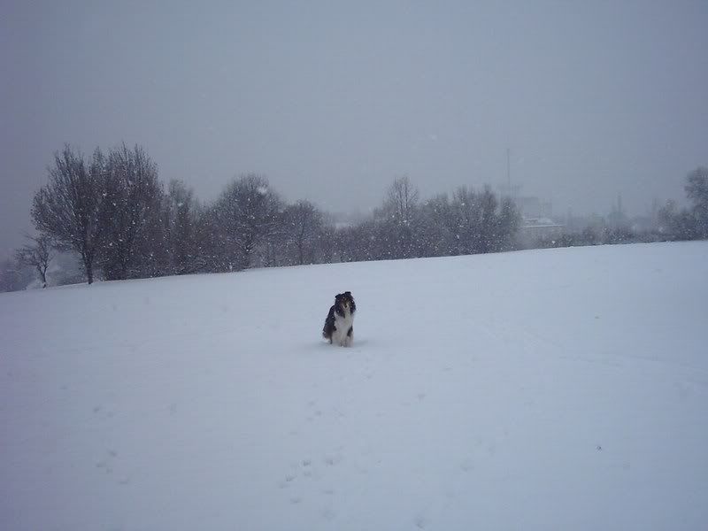jan1008.jpg