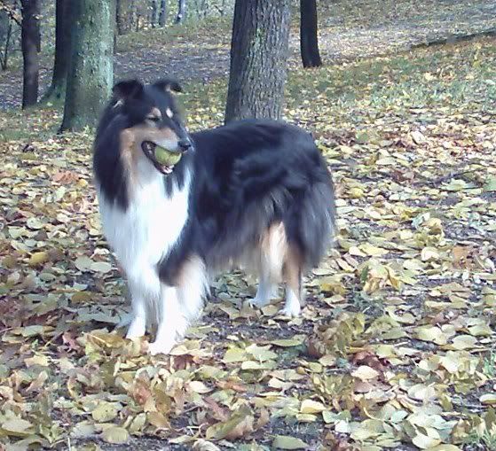okt27040vgott.jpg