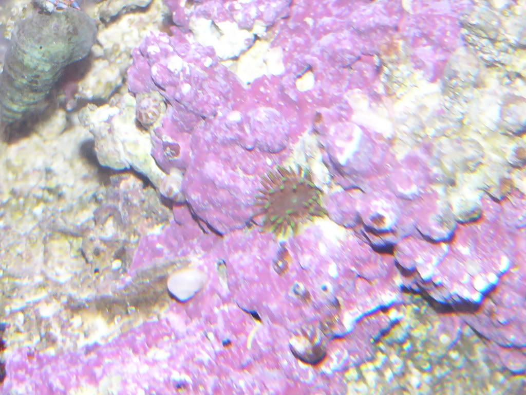 P1030600.jpg