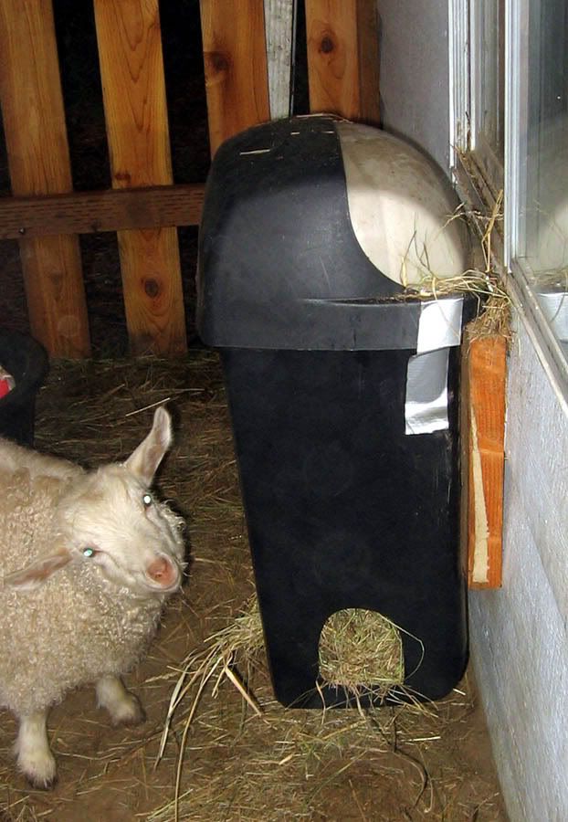 Trashcan hay feeder - Goats