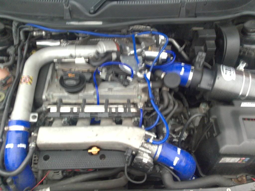 29112008219.jpg