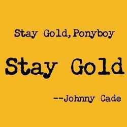 stay_gold_ponyboy_laptop_skins_zpsjb09gn