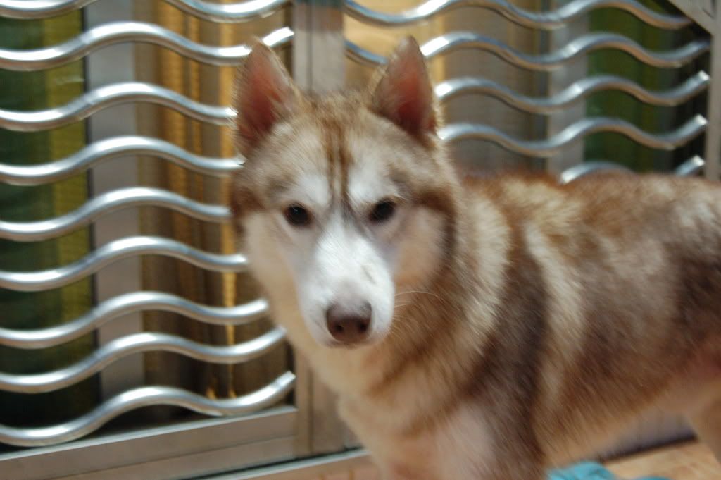 Click here to open new window
CTRL+Mouse wheel to zoom in/out