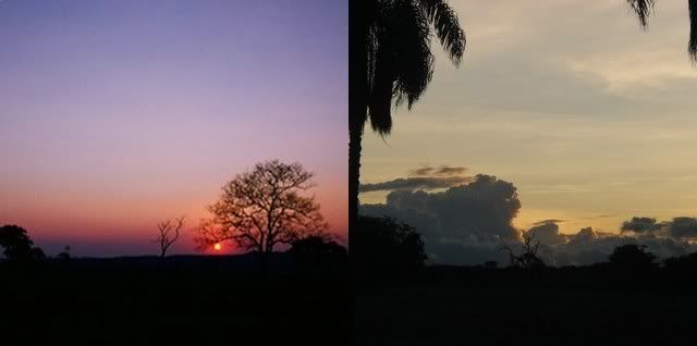 collage1.jpg