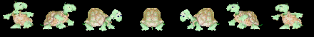 turtles.gif picture by renataemy
