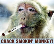 crack_smokin_monkey1.jpg
