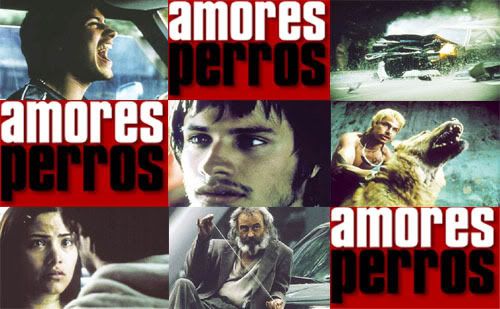 amores perros. amores perros images