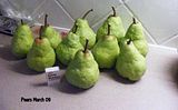 Pears group