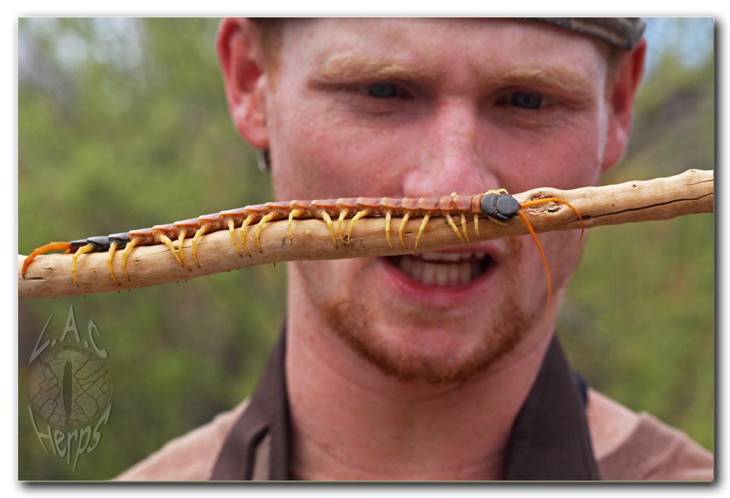 IMG_10401Andrewwithcentipede.jpg