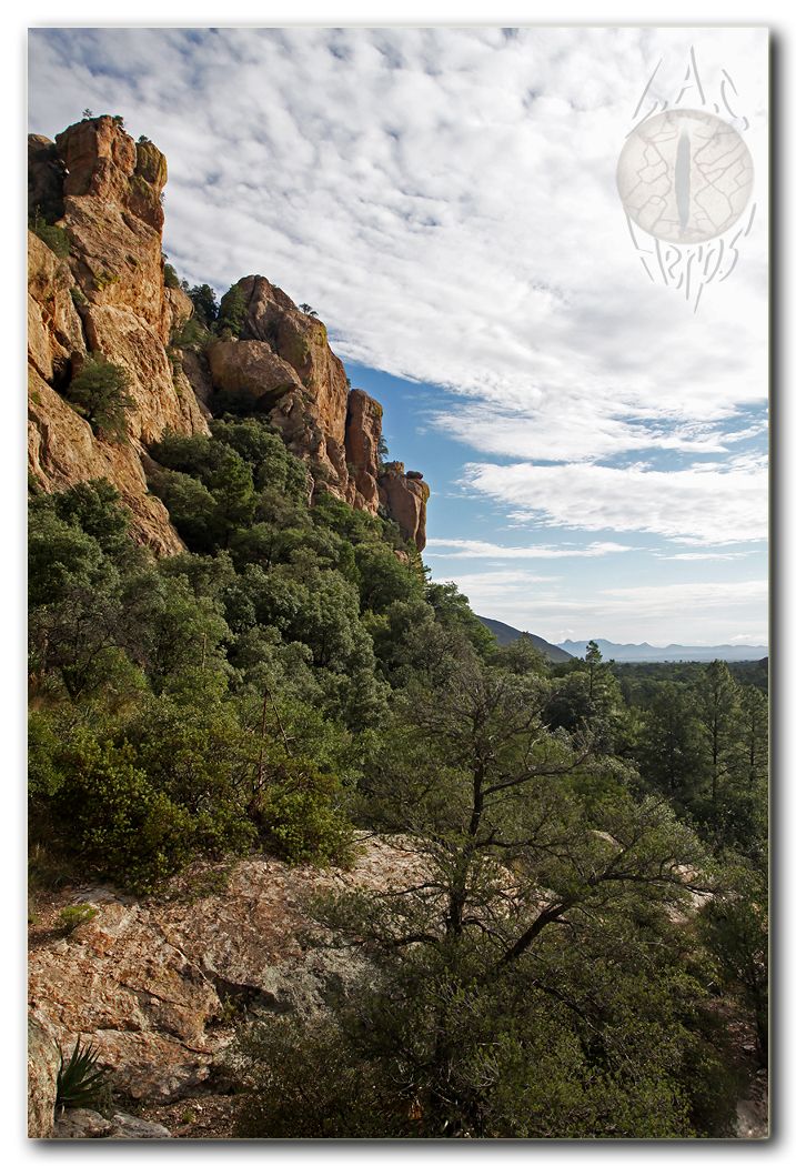 IMG_10962Coronadoscenery.jpg