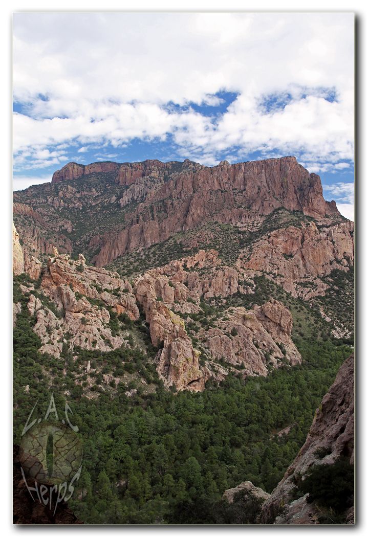 IMG_11006Coronadosceneryfromcave.jpg
