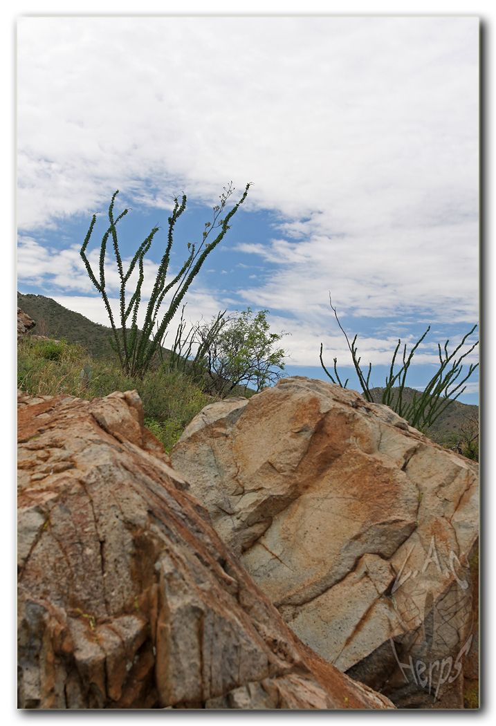 IMG_9407scenery.jpg