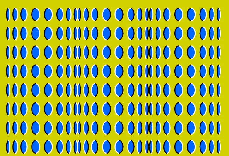 851.gif optical illusion image by dafoe07