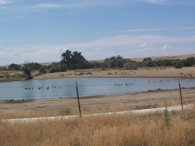 Let's see some pictures of your place... - Homesteading Questions