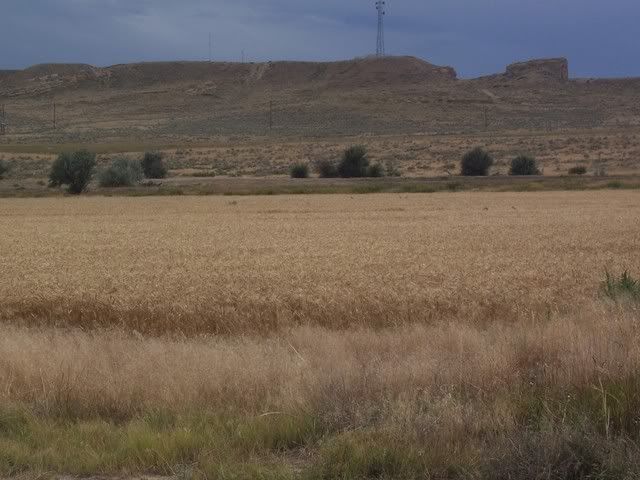 Let's see some pictures of your place... - Homesteading Questions