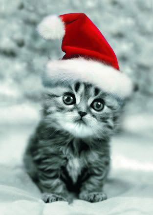 Santa Claus