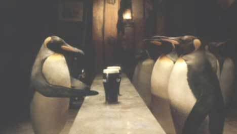 guinness-penguins.jpg