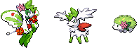 shaymin.png