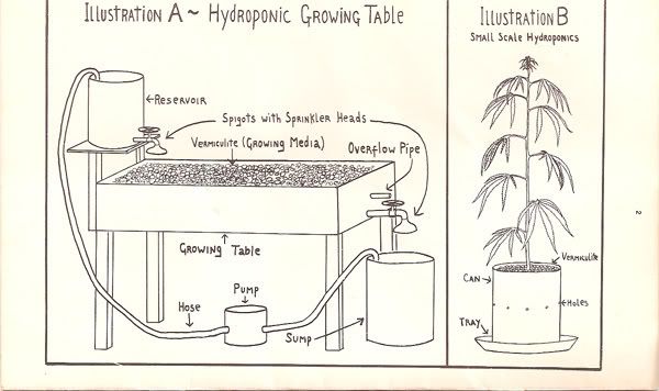 hydro-table-illustration.jpg