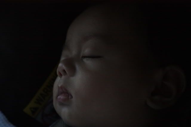 IMAGE: http://i169.photobucket.com/albums/u227/Bee0224/POTN/XSifirstshots039a.jpg