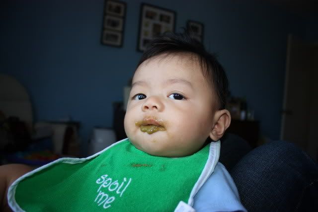 IMAGE: http://i169.photobucket.com/albums/u227/Bee0224/POTN/XSifirstshots054a.jpg