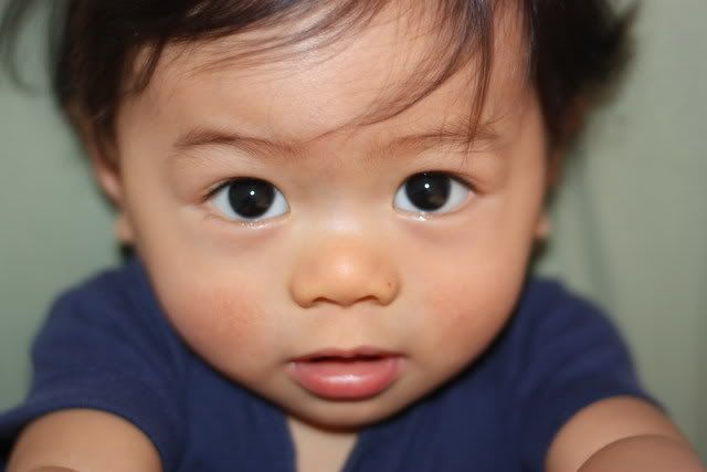 IMAGE: http://i169.photobucket.com/albums/u227/Bee0224/POTN/brysonrandom11-2008003a.jpg