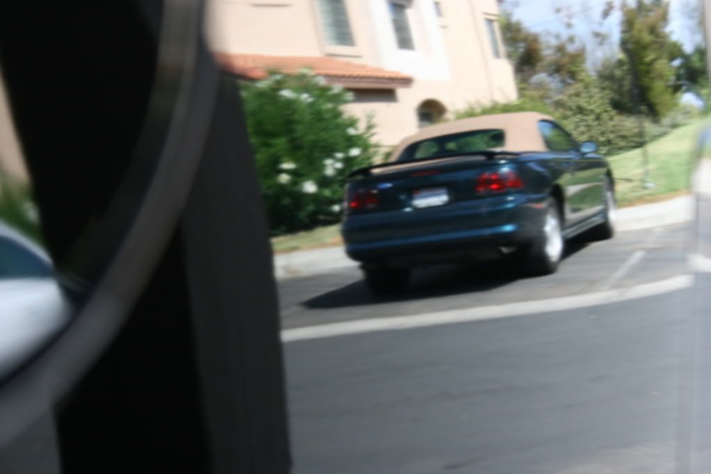 IMG_1964.jpg