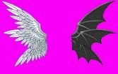 _Ying_Yang_Wings0001.jpg