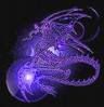 purple dragon Pictures, Images and Photos