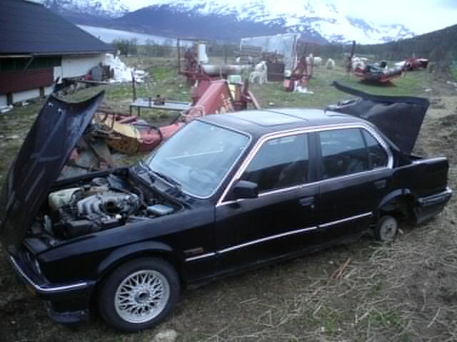DSC00247.jpg