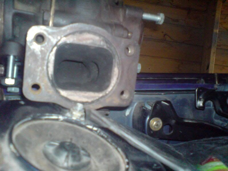 DSC00713.jpg