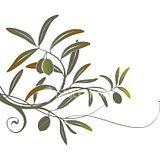 Tattoo Olive Branch